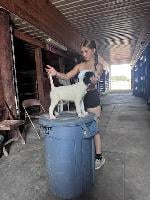 IMG_8494 PUP DILLION.JPG