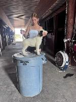 IMG_8489 pup jet.jpg