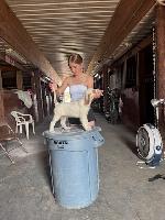 IMG_8488_2 pup bud.jpg