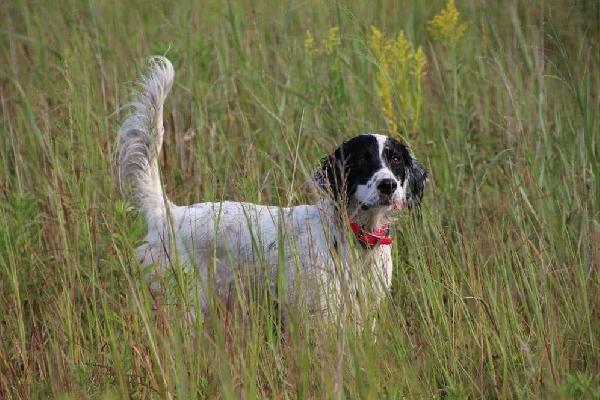 MAX,   OUTSTANDING FEMALE..  MOTHER