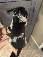 IMG_9322.jpeg