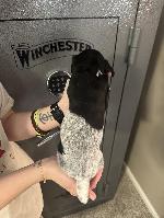 IMG_9334.jpeg