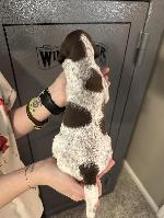IMG_9338.jpeg
