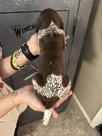 IMG_9342.jpeg