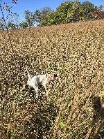 20251022_123808.jpg