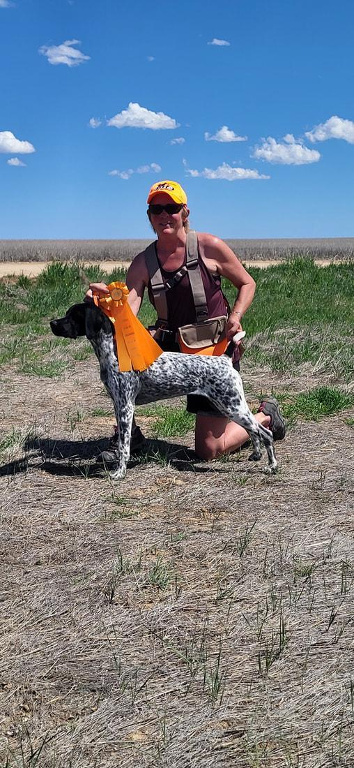 German Shorthaired Pointer