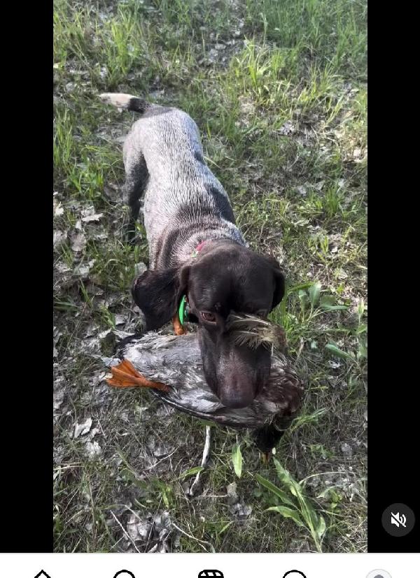 GREAT WATER RETRIEVE!