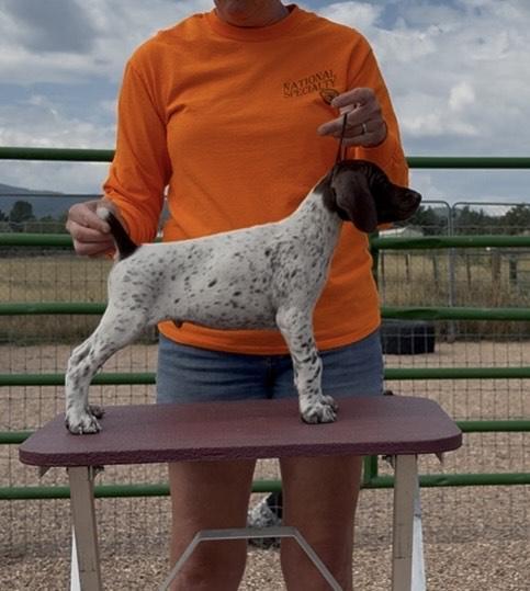 STORM AT 7 WEEKS OLD