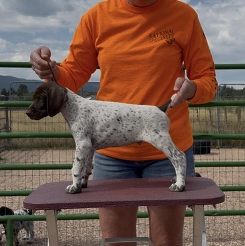 STORM AT 7 WEEKS OLD