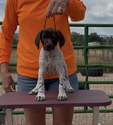 STORM AT 7 WEEKS OLD