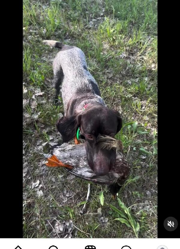 DAM EARNING HER NAVHDA TITLE