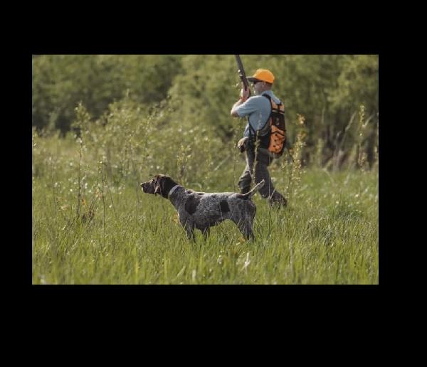 DAM EARNING HER NAVHDA TITLE