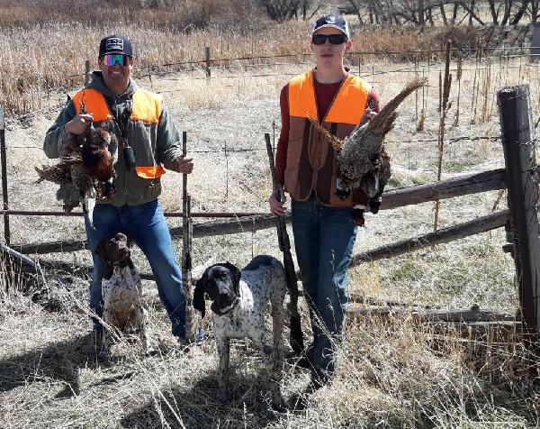 SIRES FIRST HUNT AT 7 MONTHS OLD