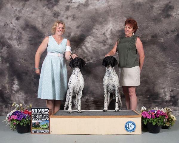 SIRE & DAUGHTER FROM A PREVIOUS LITTER