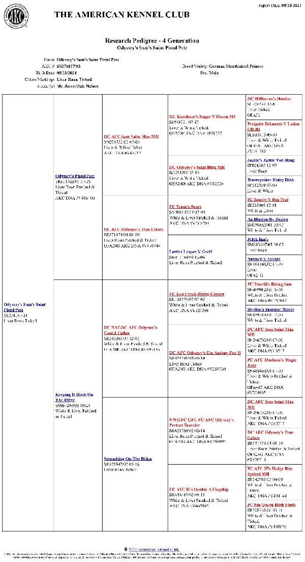 Pistol Pete Breeder Pedigree.jpeg