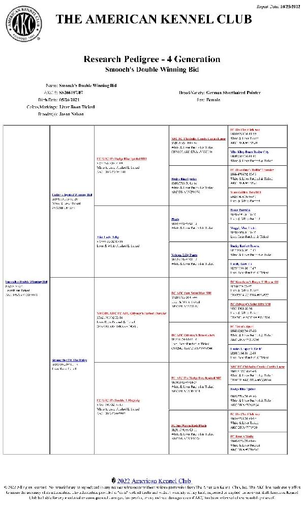 Smooch Breeder Pedigree.jpeg