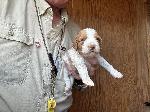 IMG_0749.jpeg