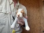 IMG_0748.jpeg