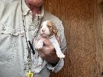 IMG_0747.jpeg