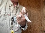 IMG_0746.jpeg