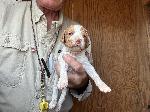 IMG_0745.jpeg
