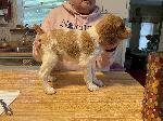 IMG_2749.jpeg