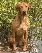 BAA0764F-D67B-45AE-972E-15AC4C087961_1_201_a.