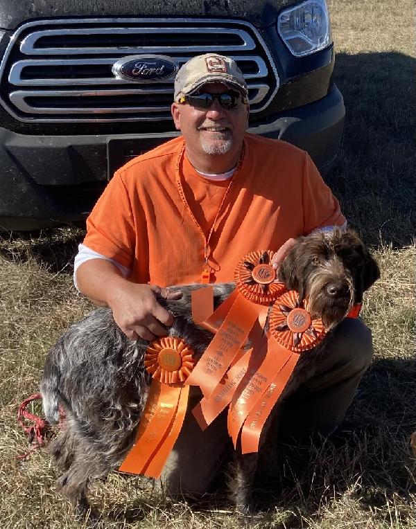 TOP GRIFFS IN THE US Wirehaired Pointing Griffon