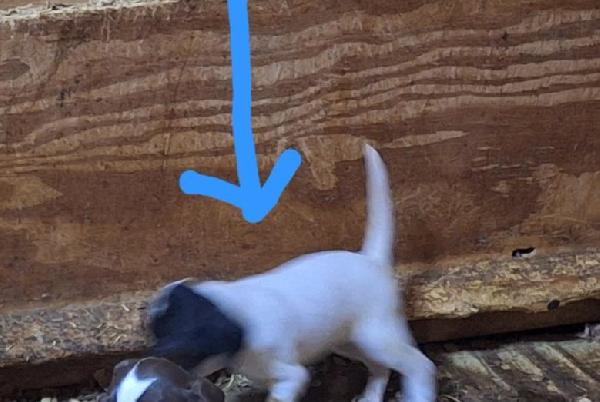 No title given