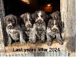 IMG_1644.jpeg