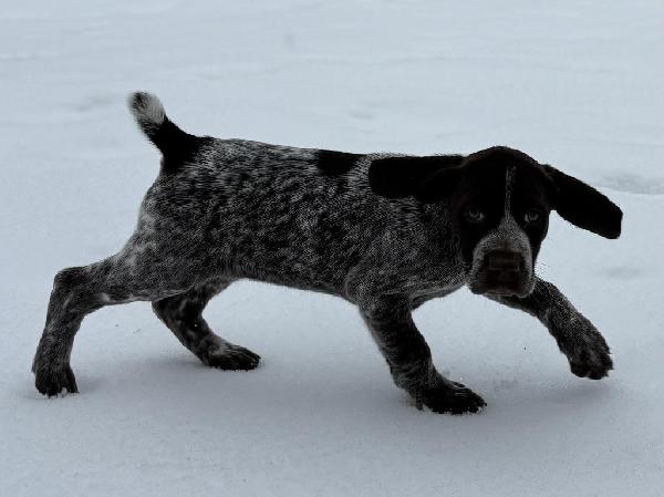 SOPHIA & BOONE GIRL