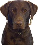 Tanner_IMG_0999.jpg