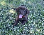 IMG_E5350_OrangeGirl2.jpg