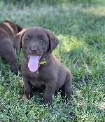 IMG_E5351_YellowGirl.jpg