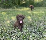 IMG_E5342_GreenGirl.jpg