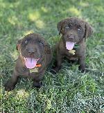 IMG_E5344_.jpg