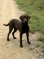 Tanner_IMG_1694.jpg