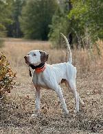 Haney's Big Country.jpg