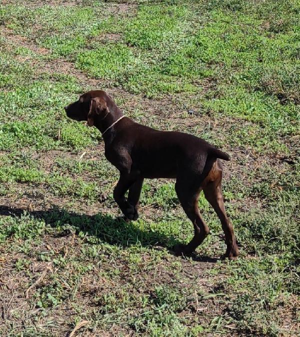 2f Iumzmfwhrcm 2f Iumzmfwhrcm