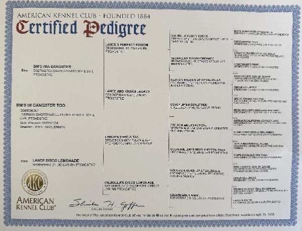 SIRE PEDIGREE