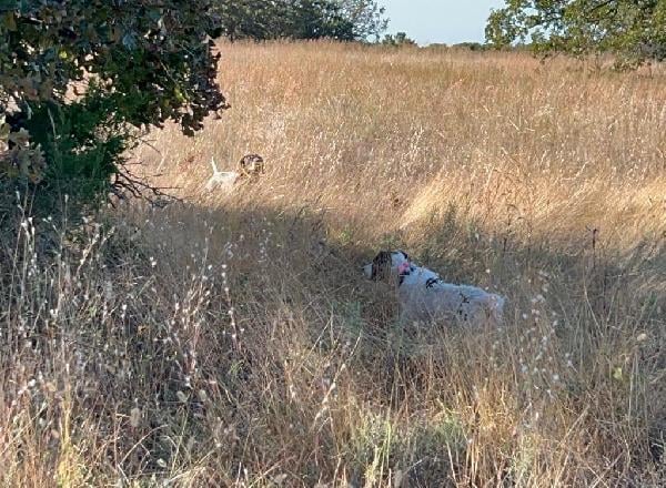 COVER IS EXTREAMLY TOUGH THIS YEAR