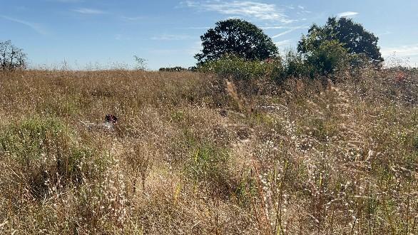 COVER REALLY TOUGH THIS YEAR