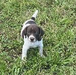 IMG_0596.jpeg