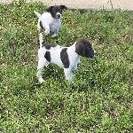 IMG_0595.jpeg