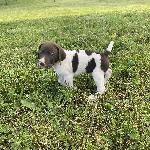 IMG_0599.jpeg