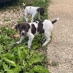 IMG_0597.jpeg