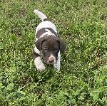 IMG_0594.jpeg