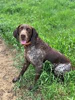 293838275_731874604746512_4258331290163157342