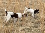 IMG_4722.jpeg