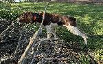 IMG_0852.JPEG